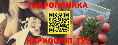 PSILOCYBIN Шелехов