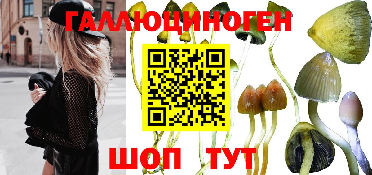 Жигулёвск  хочу наркоту  Вход с VPN  Псилоцибиновые грибы ЛСД 